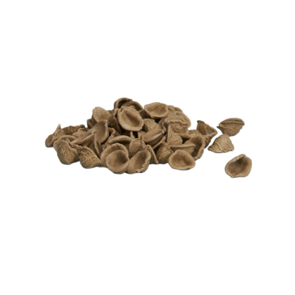 ORECCHIETTE AL GRANO ARSO 3PZX2KG(LF)