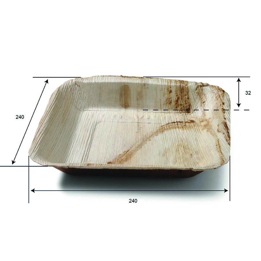 PIATTO QUADRATO PALMA 23X22CM 25PZ(SDG)
