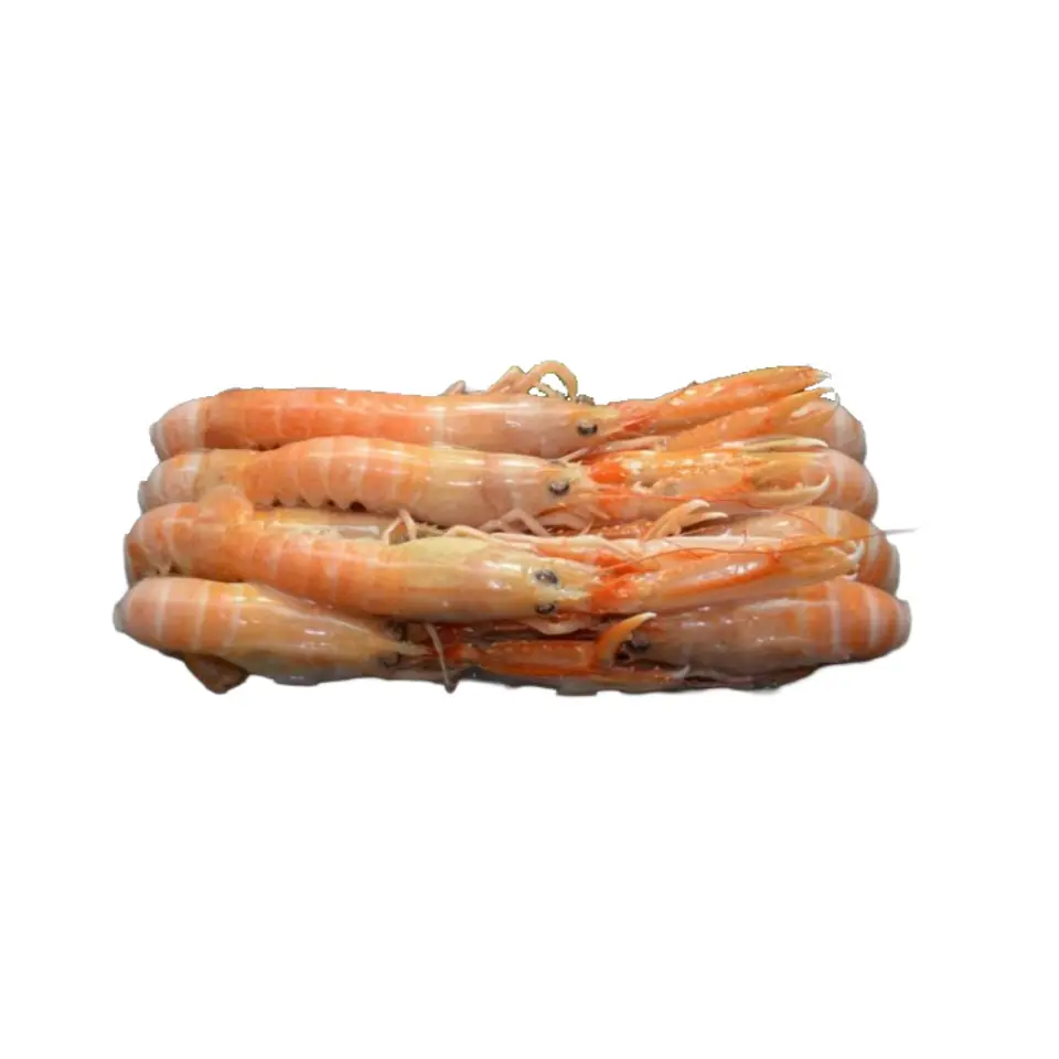 SCAMPI IRLANDA 8/10 ROONEY FISH 1,350KG
