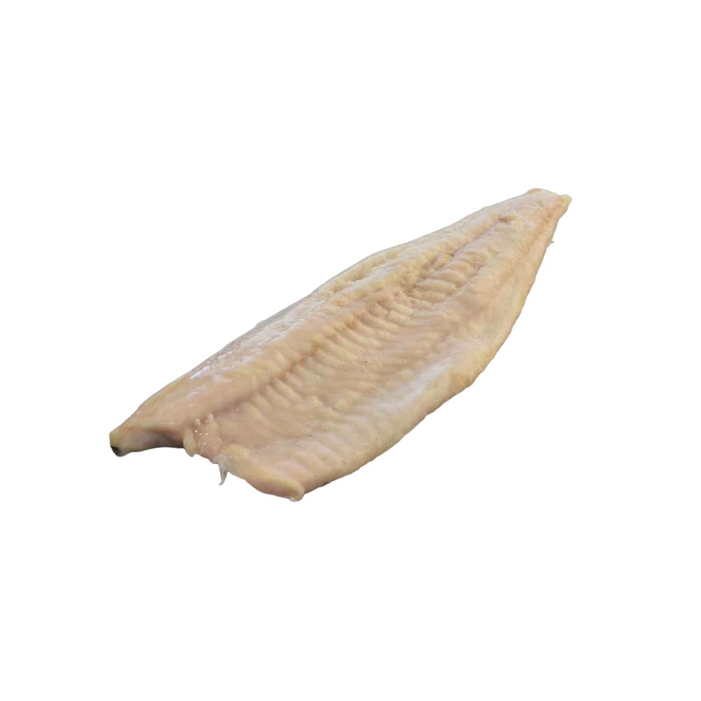 FILETTO 500/1000 MERL.CARBON. IQF 9,9KG NETTO(ICE)