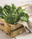 CIME DI RAPA 4PZX1KG(DT)