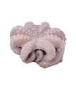 POLPO MAROCCO T6 IQF 15KG