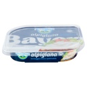 FORMAGGIO FRESCO ALPIGIANA 20PZX100GR(BAY)