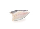 FILETTO SPIGOLA DEL PACIFICO 120/150 IQF 5KG(NF)