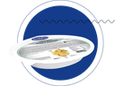 FIOCCHETTI SPECK E ZUCCHINE