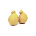 PROV. CACIOCAVALLO(SO)