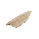 FILETTO 500/1000 MERL.CARBON. IQF 9,9KG NETTO(ICE)