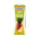 SUCCO ANANAS STERILGARDA 10PZX1LT